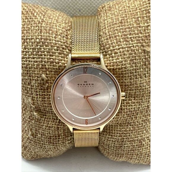 Skagen SKW2151 Womens Stainless Steel Mesh Analog Dial Quartz Wrist Watch AEA280